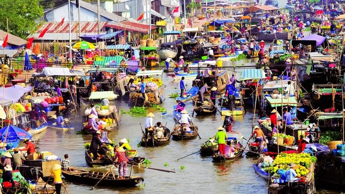 Ảnh đẹp Cần Thơ - khoảnh khắc mưu sinh vất vả nhưng đầy niềm vui