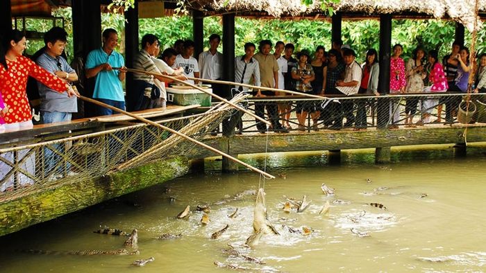 Ảnh đẹp Cần Thơ - không gian xanh mát tại Làng du lịch Mỹ Khánh