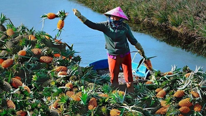 Hình ảnh đẹp về Hậu Giang thể hiện tình cảm gắn bó giữa làng xóm.