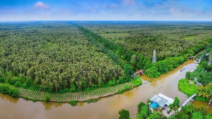 Những bức ảnh đẹp về Hậu Giang mang vẻ đẹp thơ mộng và yên bình.