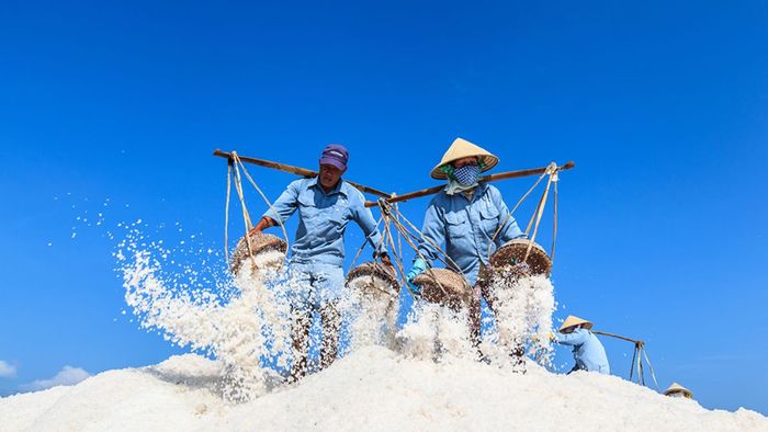 Ảnh đẹp Khánh Hòa nổi bật với hình ảnh ngư dân đang kéo lưới.