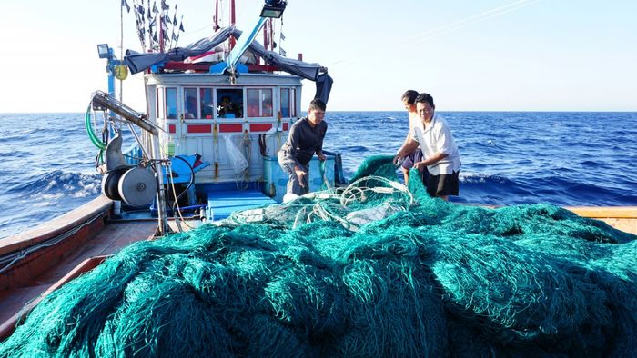 Ảnh đẹp Khánh Hòa khắc họa đôi tay chai sạn của người lao động.
