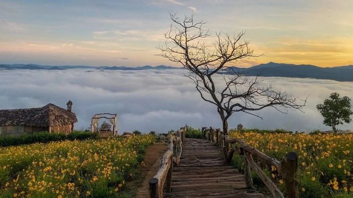 Những bức ảnh đẹp về Lâm Đồng với làn sương sớm mờ ảo, huyền bí