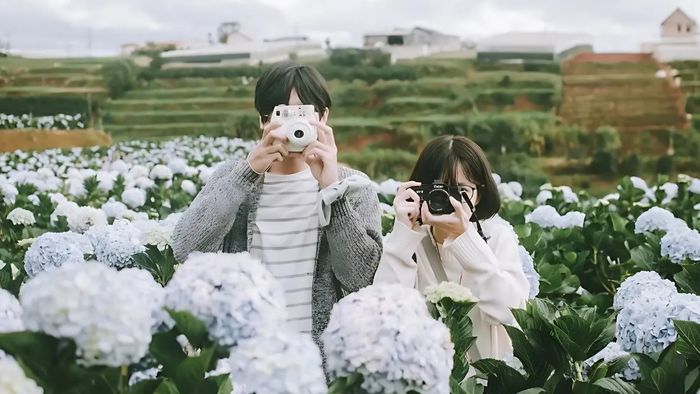 Những bức ảnh đẹp về Lâm Đồng với cánh đồng hoa rực rỡ