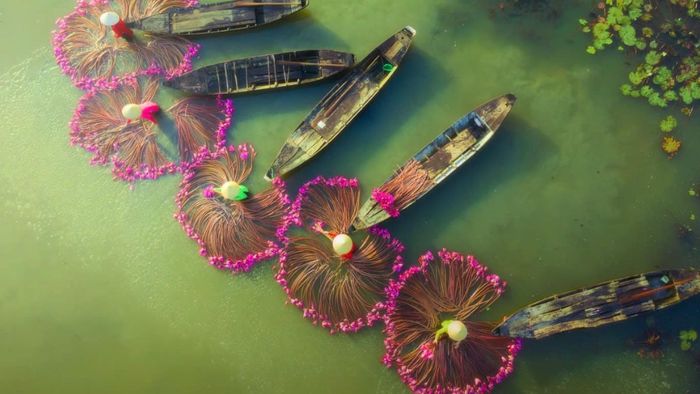 Ảnh đẹp Long An rực rỡ và đầy tinh tế.