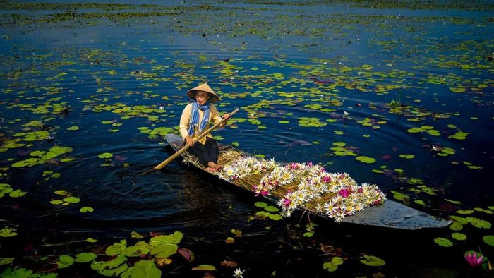 Ảnh đẹp Long An lung linh và nổi bật.