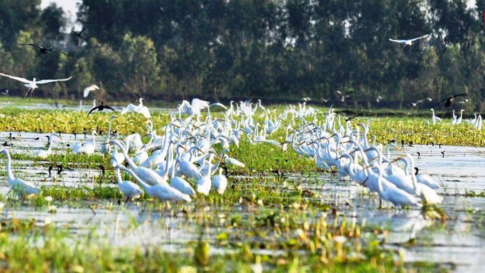 Ảnh đẹp Long An mang vẻ dịu dàng và thanh bình.
