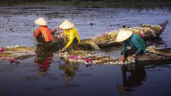 Ảnh đẹp Long An chân thực và đẹp mắt.