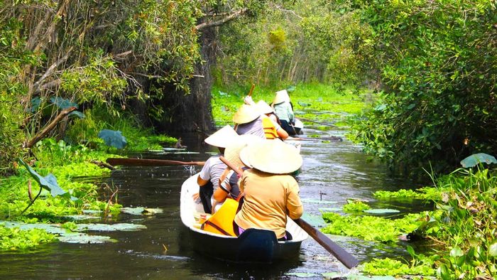 Ảnh đẹp Long An với ánh sáng hoàn hảo.