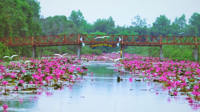 Ảnh đẹp Long An chứa đựng đầy cảm xúc.