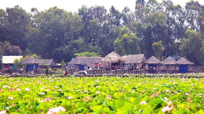 Ảnh đẹp Long An chân thực và sắc nét.