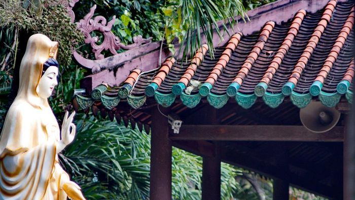 Ảnh đẹp Long An mang đến sự yên bình và thư thái.