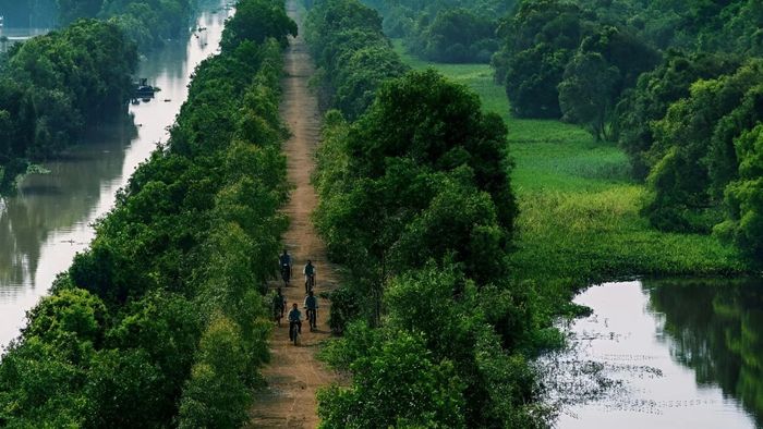 Làng quê yên ả trong buổi sớm mai - Ảnh đẹp Long An