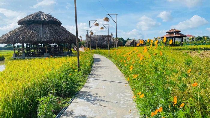Ảnh đẹp Long An ấn tượng, mang đậm nét cuốn hút.