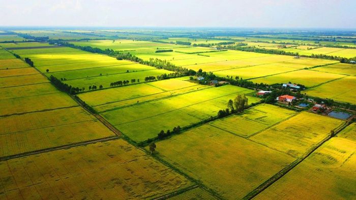 Ảnh đẹp Long An mang vẻ đẹp thơ mộng và dịu dàng.