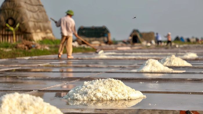 Những bức ảnh đẹp về Nam Định sắc nét và rõ ràng từng chi tiết