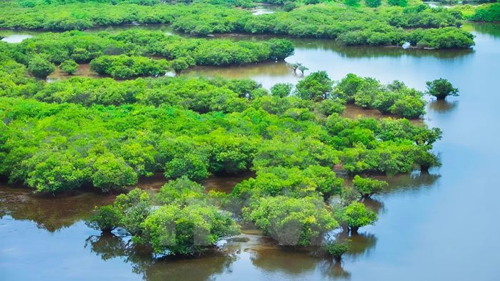 Những bức ảnh đẹp về Nam Định chân thực và sống động