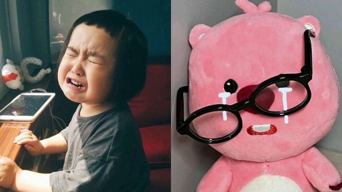 Những bức ảnh meme khóc buồn.