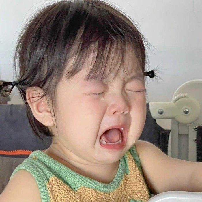 Ảnh meme khóc mlem cực đáng yêu.