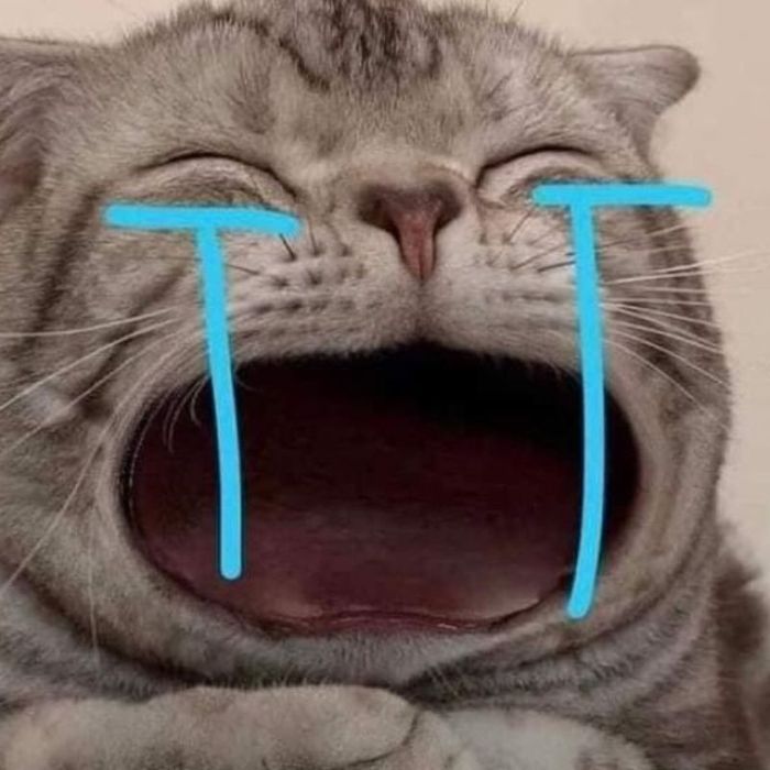Ảnh meme khóc thảm thương, mang đến cảm giác xót xa.