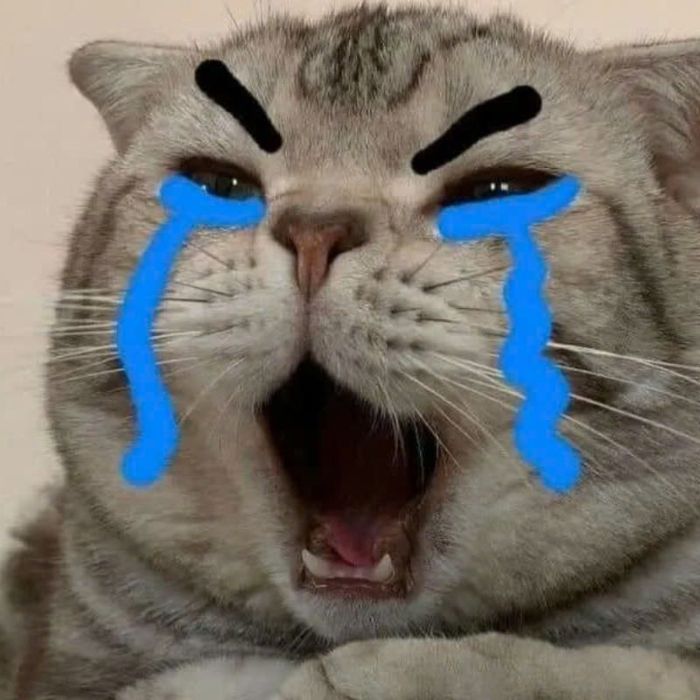 Ảnh meme khóc sầu đời, đầy buồn bã và đầy cảm xúc.