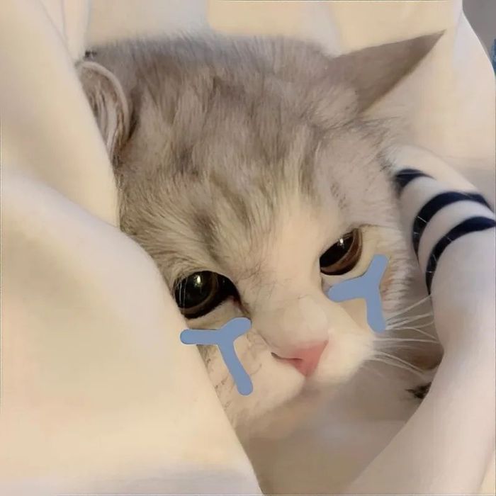 Ảnh meme khóc dỗi hờn, biểu cảm hết sức đáng yêu.