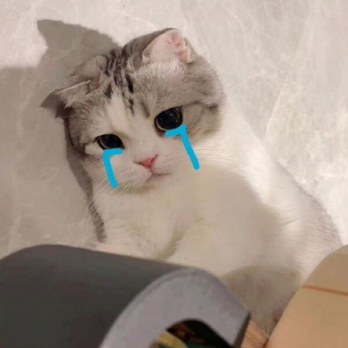 Ảnh meme khóc gục ngã, thể hiện sự thất vọng hoàn toàn.