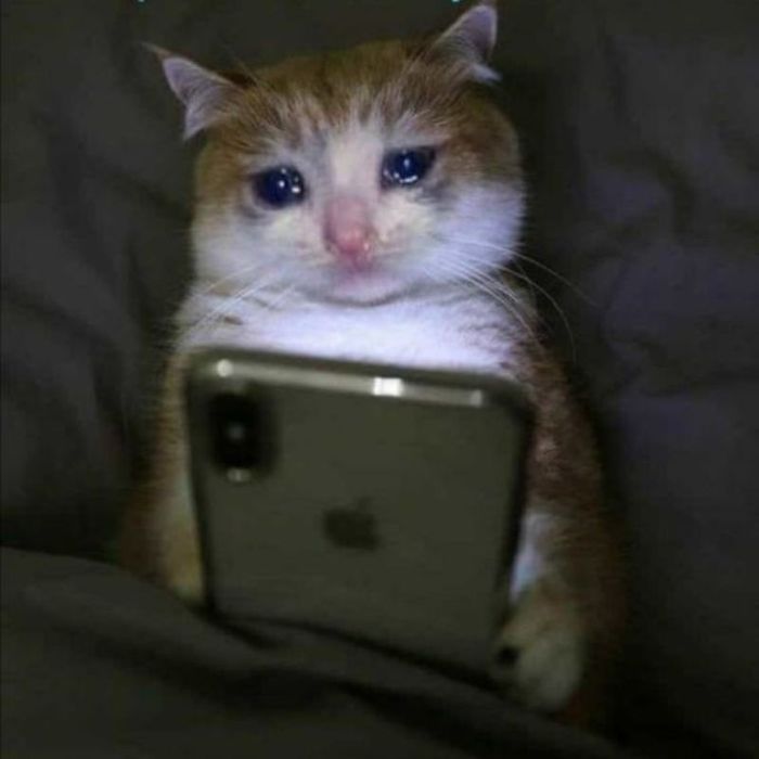 Ảnh meme khóc tàn khốc, đầy cảm giác bi thương và đau đớn.