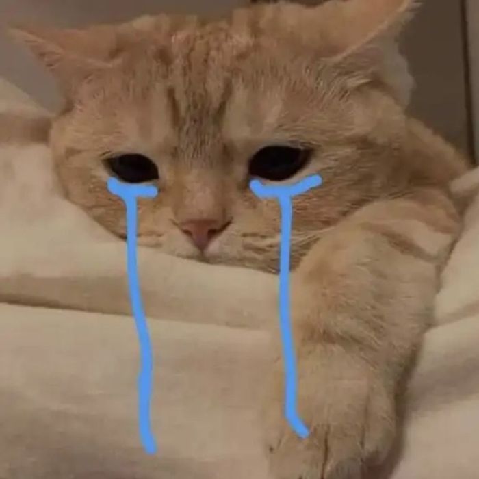 Ảnh meme khóc sến súa, đầy cảm xúc và có phần quá mức.