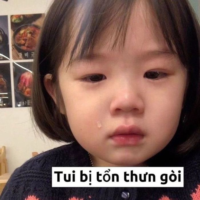 Những bức ảnh meme khóc xỉu khiến người xem không thể nhịn cười.