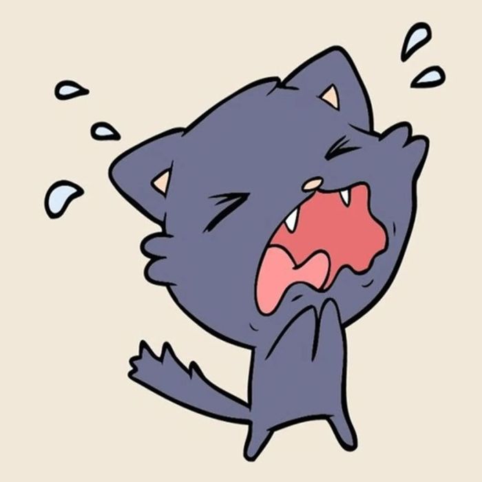 Ảnh meme khóc xé lòng, khiến người xem cảm thấy đau đớn.