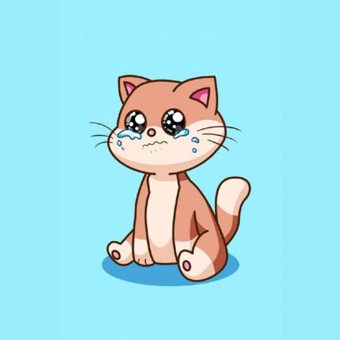 Ảnh meme khóc day dứt, không thể nguôi ngoai.