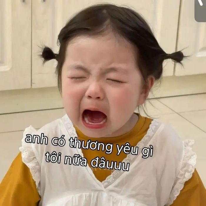 Ảnh meme khóc hài hước khiến người xem phải bật cười.
