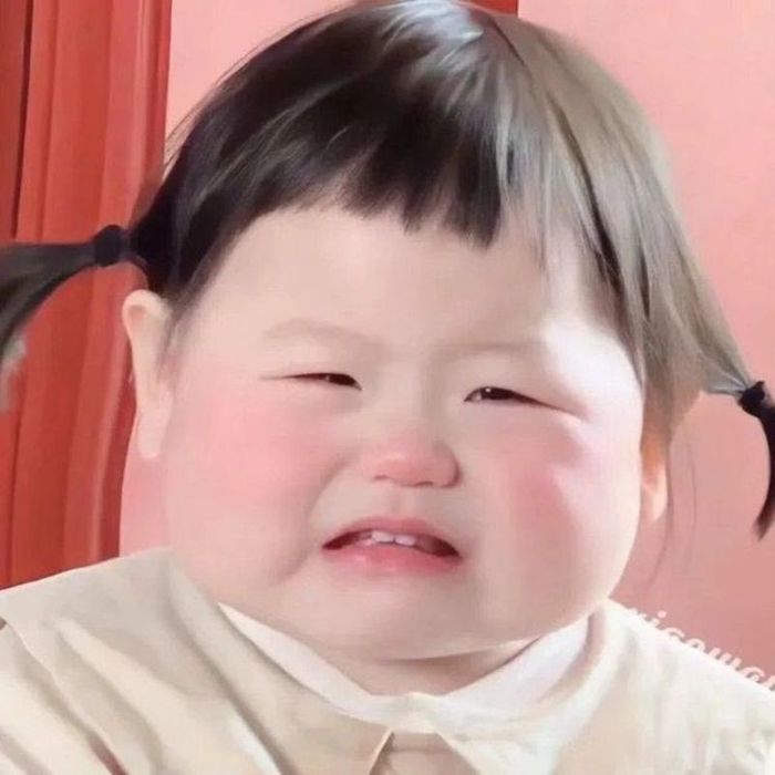 Ảnh meme khóc đáng yêu, khiến trái tim bạn tan chảy.