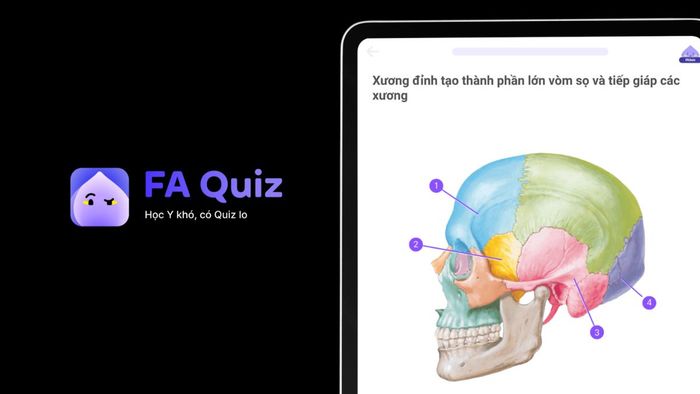 Ứng dụng thi chạy trạm giải phẫu hiệu quả