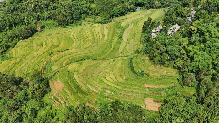 Ảnh đẹp Hòa Bình với ruộng bậc thang xanh mướt mắt
