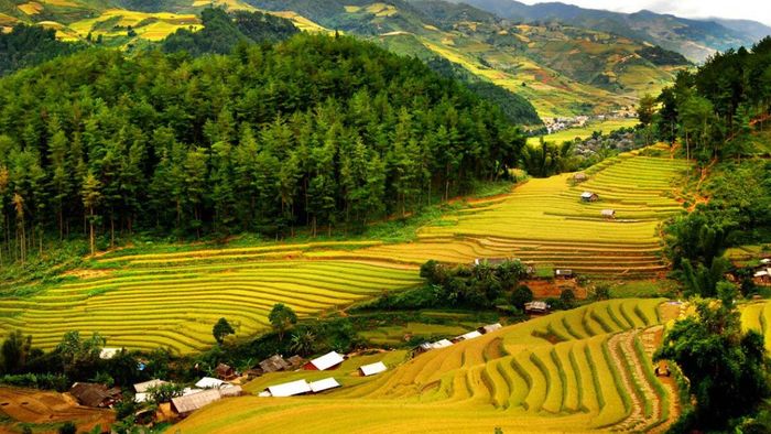 Ảnh đẹp Hòa Bình với những đường cong mềm mại của ruộng bậc thang