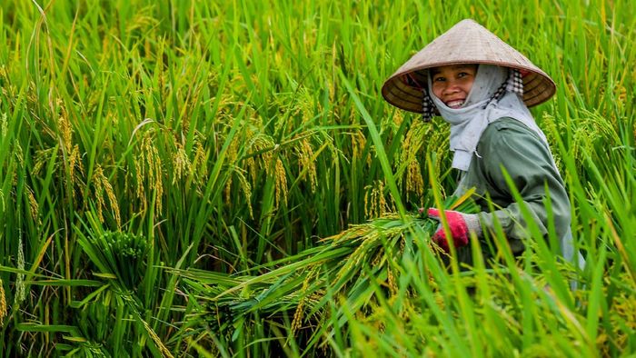 Ảnh đẹp Hòa Bình với khoảnh khắc lao động giản dị