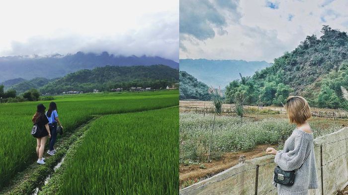 Ảnh đẹp Hòa Bình với cảnh sắc thanh bình của làng quê