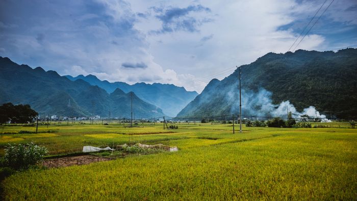 Ảnh đẹp Hòa Bình với cánh đồng bậc thang đẹp tựa như tranh vẽ