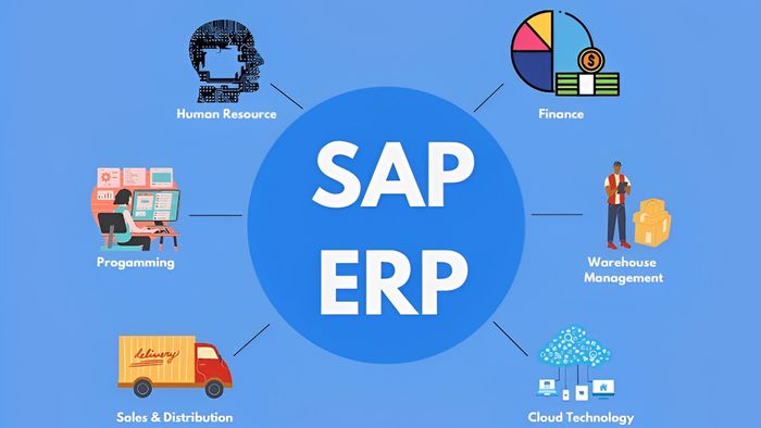 Lưu ý quan trọng khi sử dụng phần mềm SAP