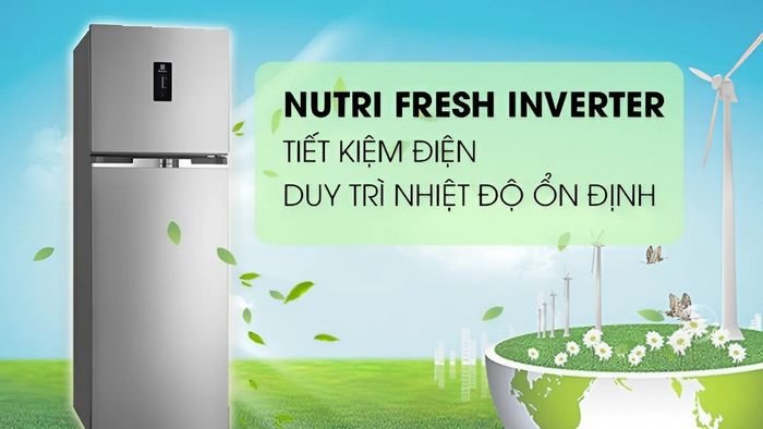 Tủ lạnh tiết kiệm điện Electrolux