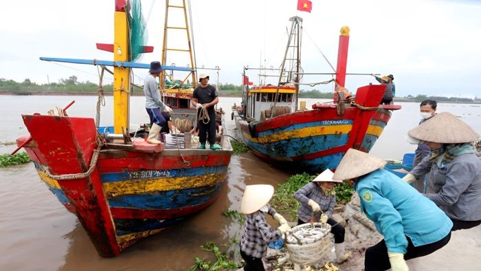Thái Bình có 8 đơn vị hành chính cấp huyện.