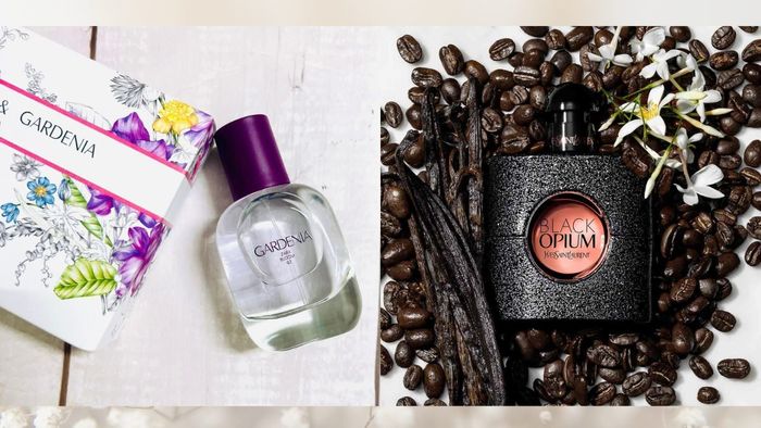 Phiên bản dupe là gì?