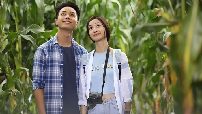 Cho em gần anh thêm chút nữa (2016)