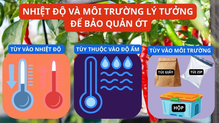 Điều kiện nhiệt độ và môi trường tối ưu để giữ ớt tươi