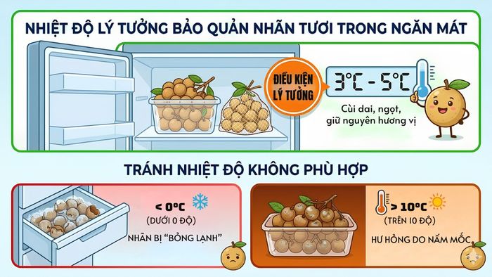 Nhiệt độ lý tưởng để bảo quản nhãn trong tủ lạnh