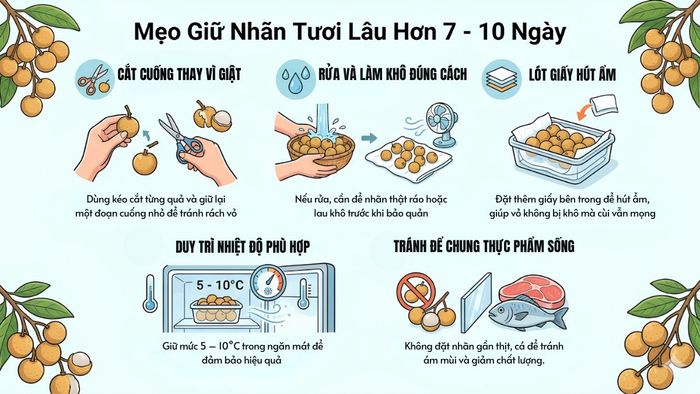 Mẹo giúp nhãn tươi lâu hơn 7 - 10 ngày