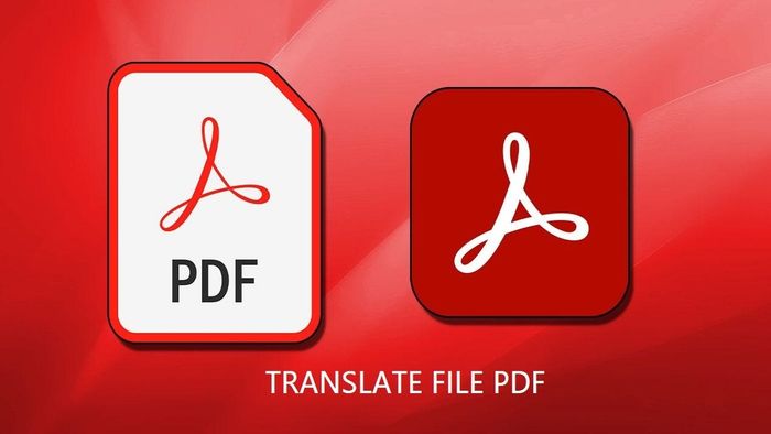 Có thể dịch các file PDF và hình ảnh không?