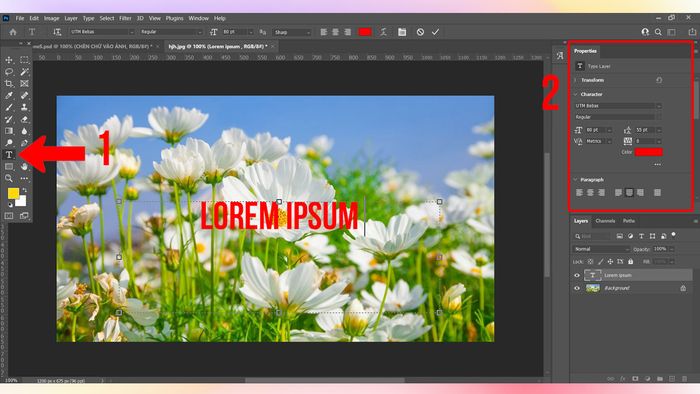 Hướng dẫn chèn văn bản vào hình ảnh trên máy tính bằng phần mềm Photoshop